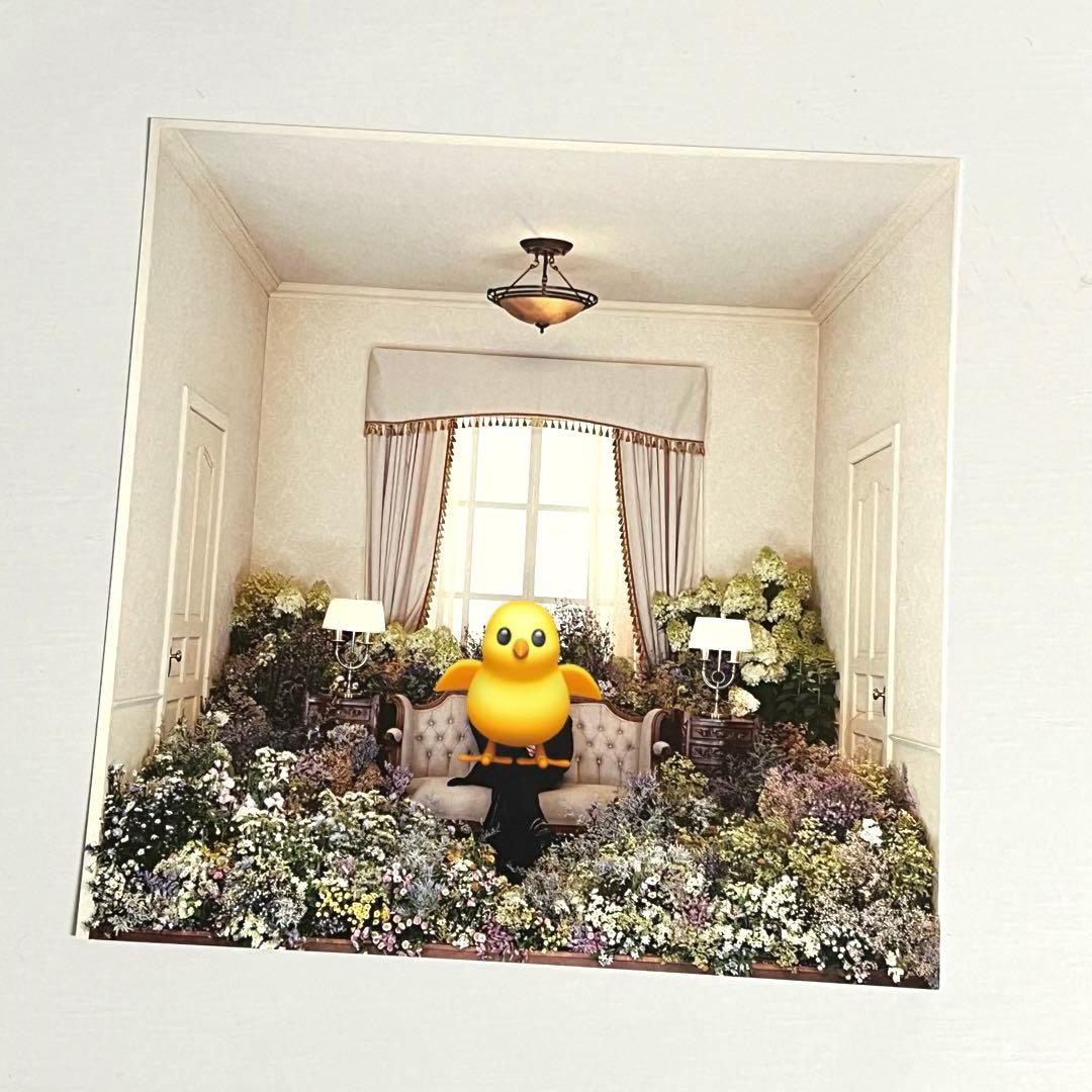 BTS ジミン 当選 LINEミュージック ポストカード 未公開 レア