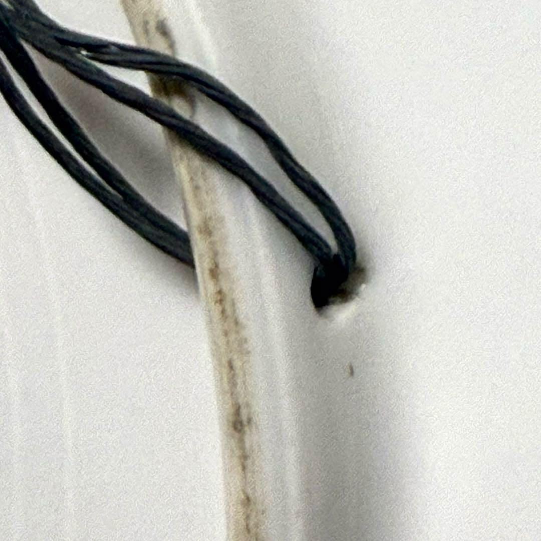 【100年物・希少】オールドノリタケ 飾り皿 25.5cm M-NIPPON