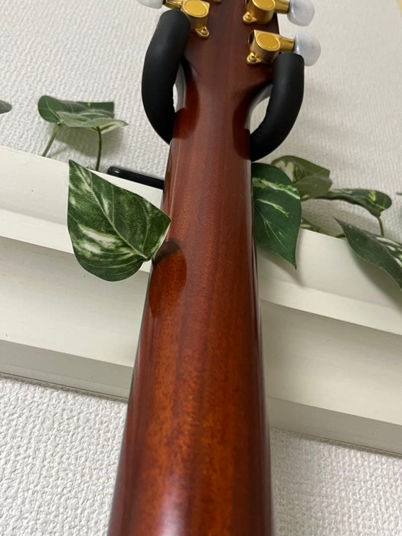 Morris モーリスTR701☆エレアコ オベーション タイプ Ovation