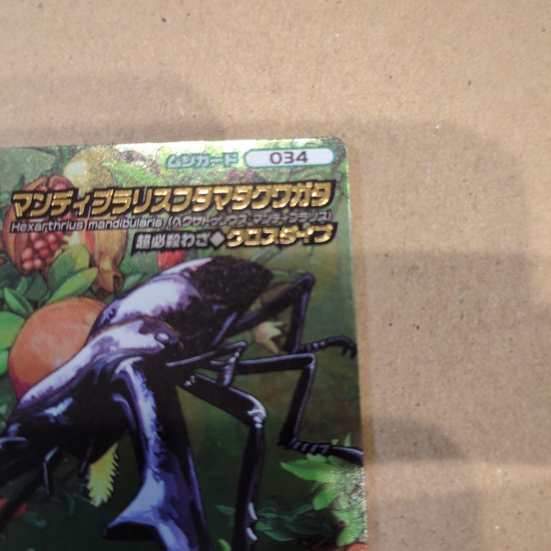 ムシキング！マンディブラリスフタマタクワガタ　5周年