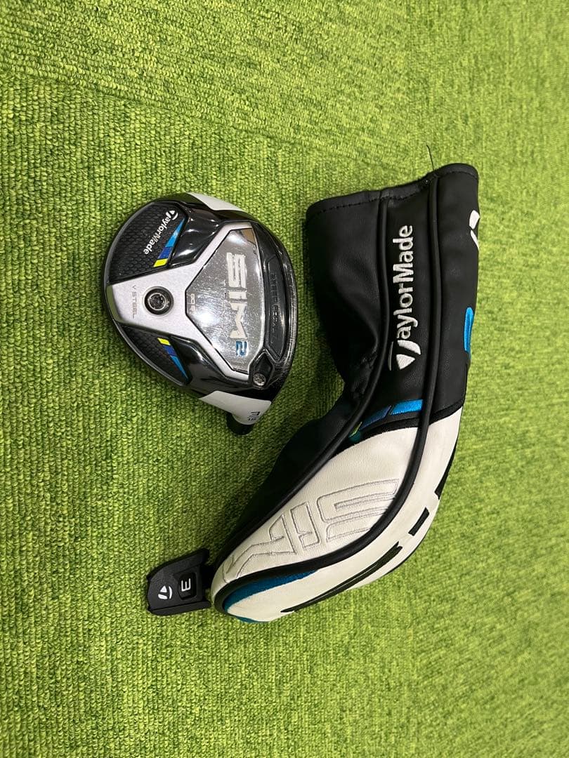 SIM2 3W ヘッドのみ