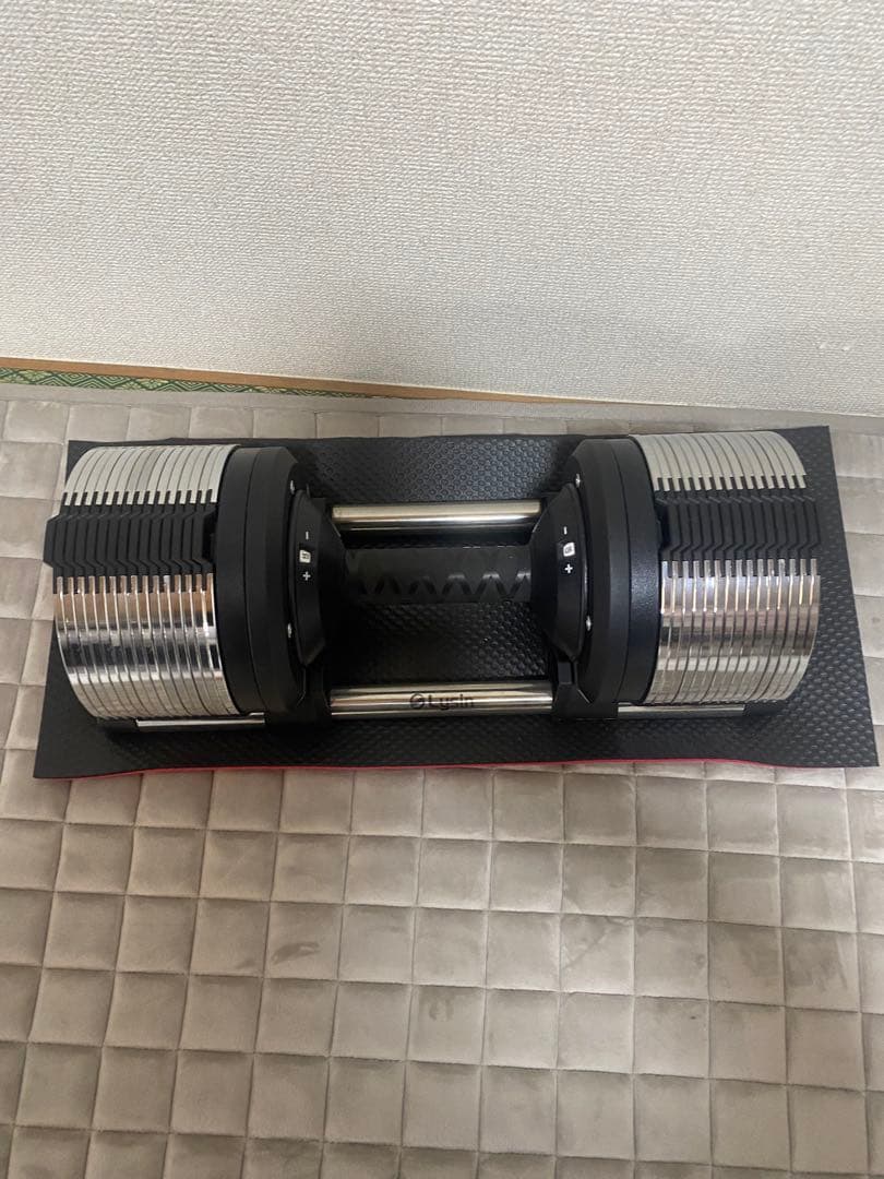 ライシン 可変式メタルダンベル 1kg刻み 3-32kg 2個セット