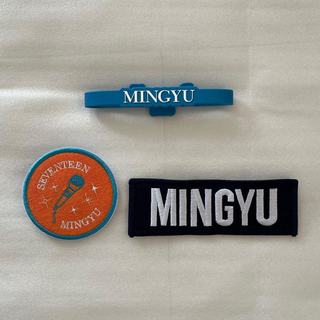 SEVENTEEN ペンライト ver.2 ver.3 ワッペン アクセサリー