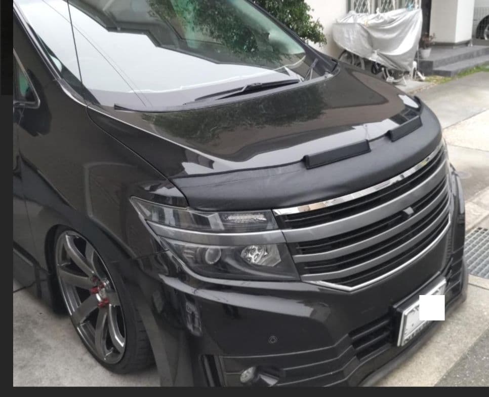 ノーズブラ　E52エルグランド　LEXUS　RX350 コルガンカスタム