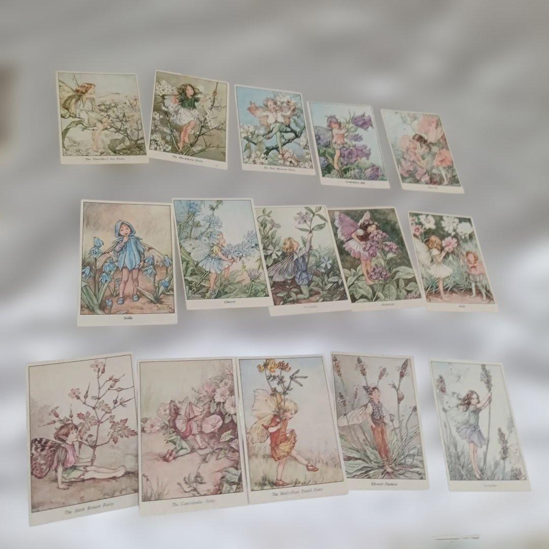 森永ハイクラウントカードセット