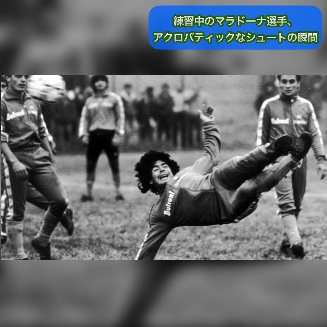 【新品展示品】イタリア製 nr エネーレ ナポリ87/88 のジャージ