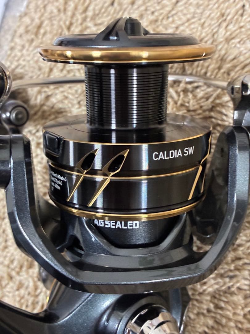 ダイワ　カルディアSW 6000D-H