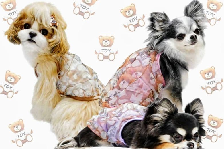 B　XS4点セット+クッション　サーカスサーカスCIRCUSCIRCUS