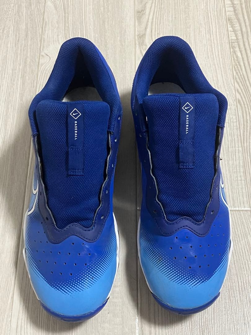 NIKE DIAMOND FASTFLEX 28.5cm 美品