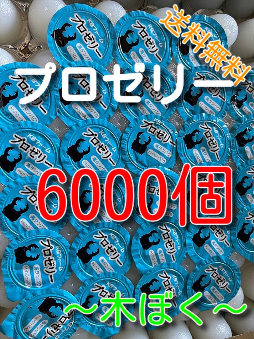 国産プロゼリー6000個KBファーム・カブトムシ　クワガタ 【木ぼく】