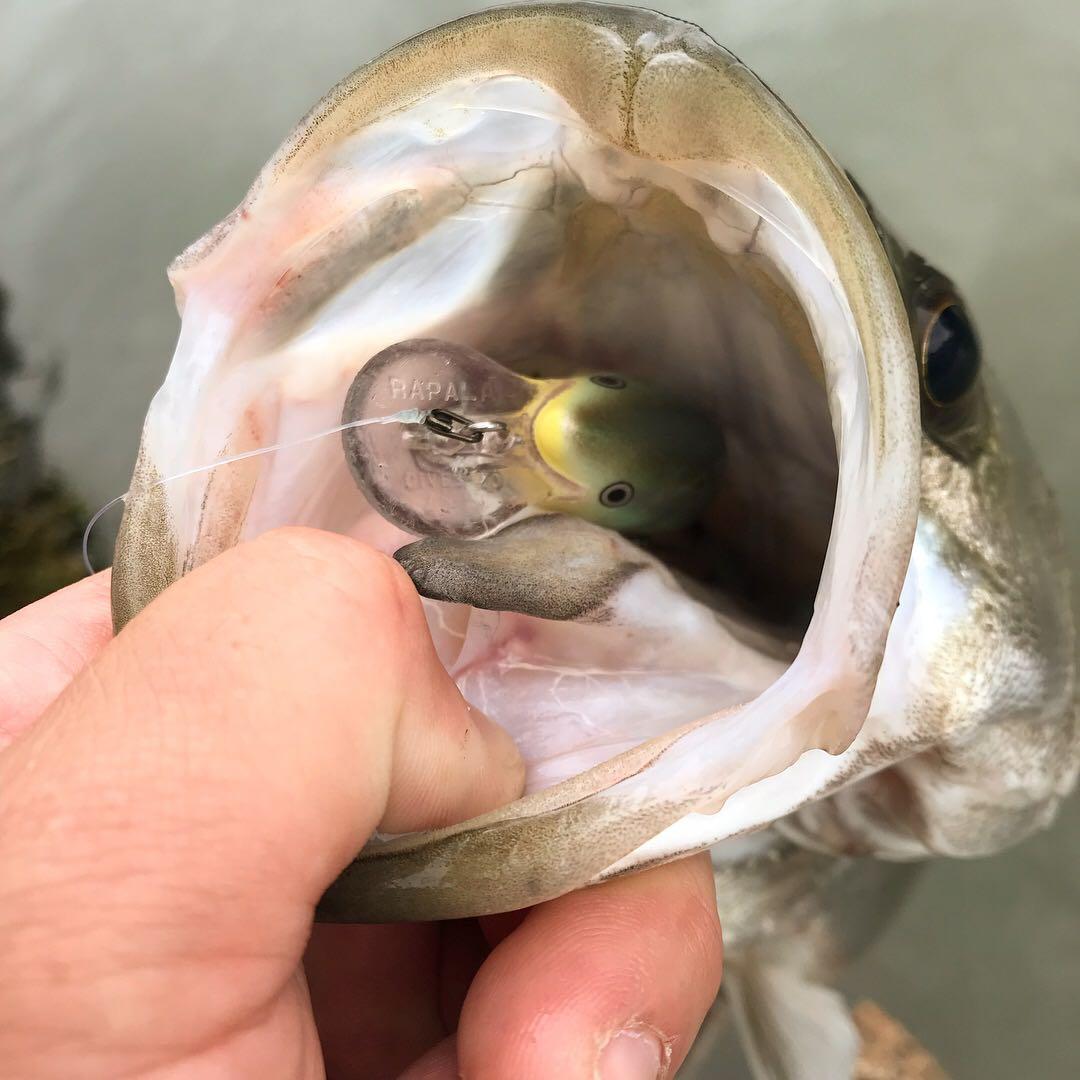 【Rapala】バス釣り引退 ラパラ ルアーセット 18個