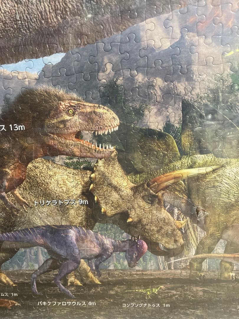 千P①恐竜ジグソーパズル　プテラノドン他17体　アルミ額50×74㎝完成品極美品