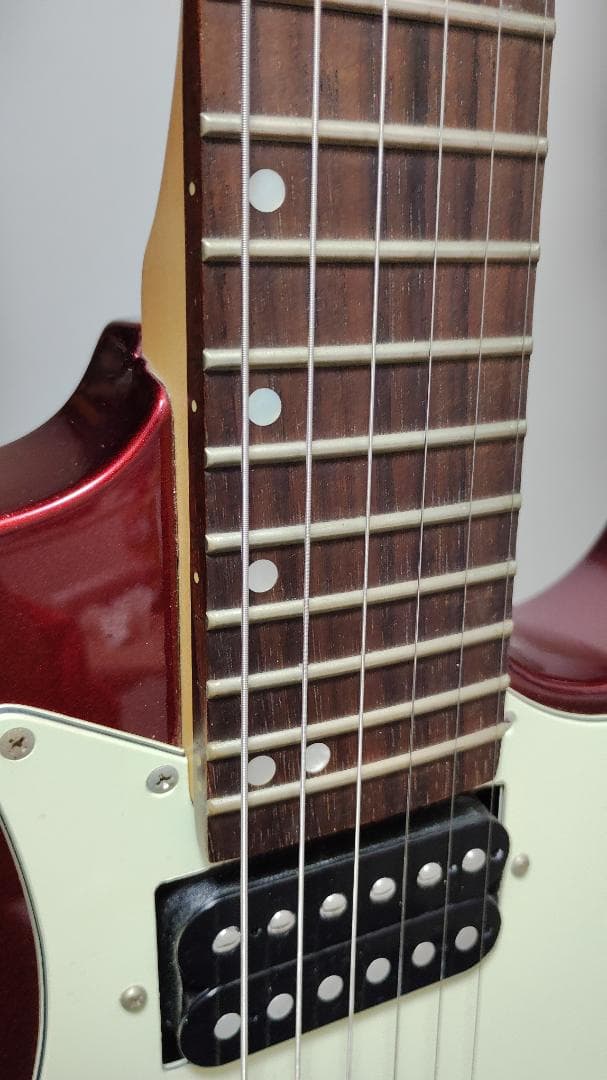 Greg Bennett Interceptor IC-30 フロイドローズ