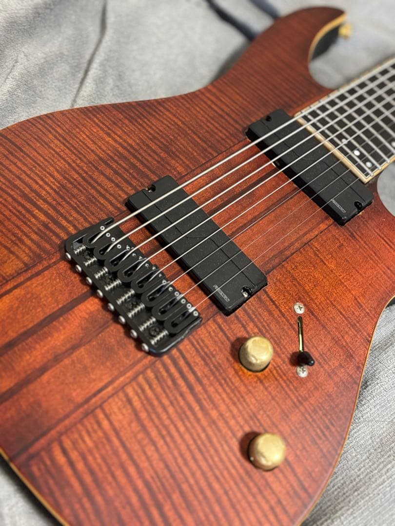 ギター SCHECTER Banshee Elite 8(Fishmanpickup)