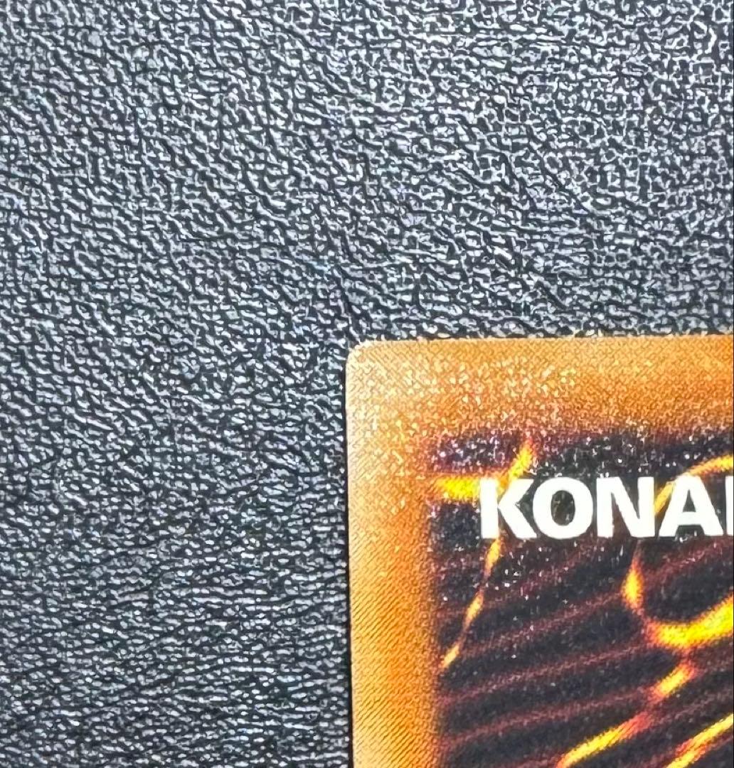 真紅眼の闇竜/レッドアイズダークネスドラゴン/ ドラゴン族/遊戯王/レリーフ