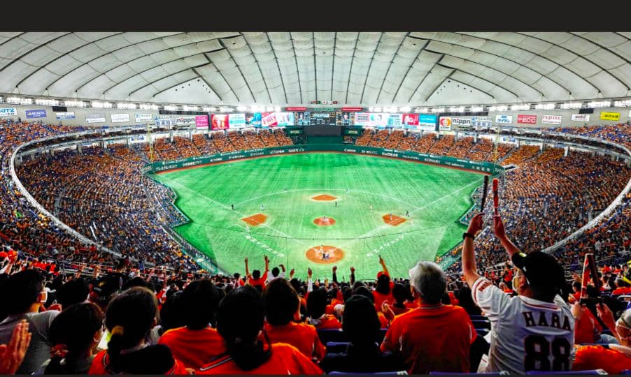 本日13時35分まで　野球グッズセット