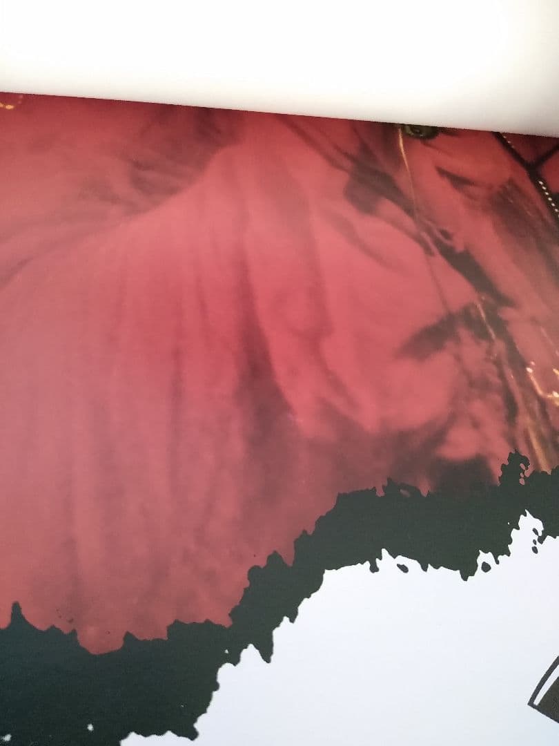 ☆hide X JAPAN 1995年カレンダー☆