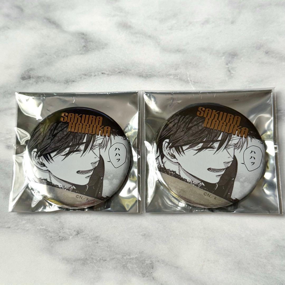 WIND BREAKER ウィンブレ ジュエリー缶バッジ 原作 桜遥