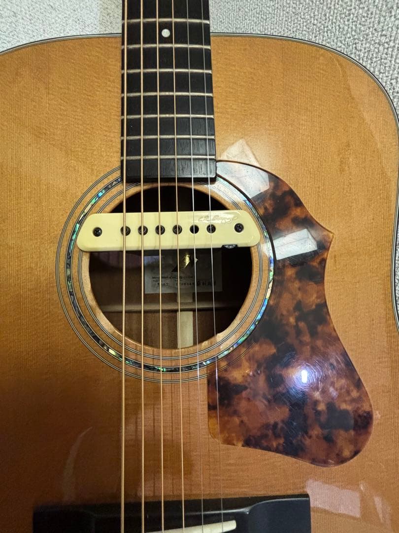 Morris M-82 + LR Baggs M1 搭載 純正ソフトケース付き