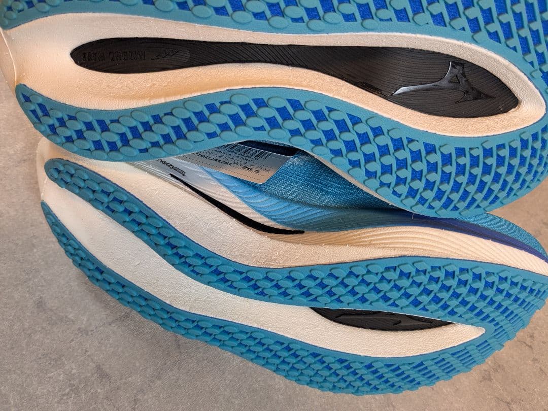 ミズノ MIZUNO メンズ ランニングシューズ ウエーブリベリオンプロ2