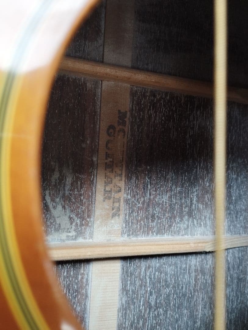 マウンテン＜W-450＞日本製・林楽器製作・トップ単板 guildタイプ