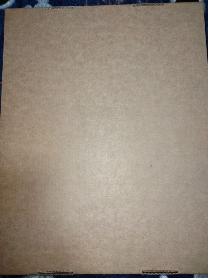 ライザのアトリエ　秘密トリロジー　楽天 特典　アートグラフSwitch