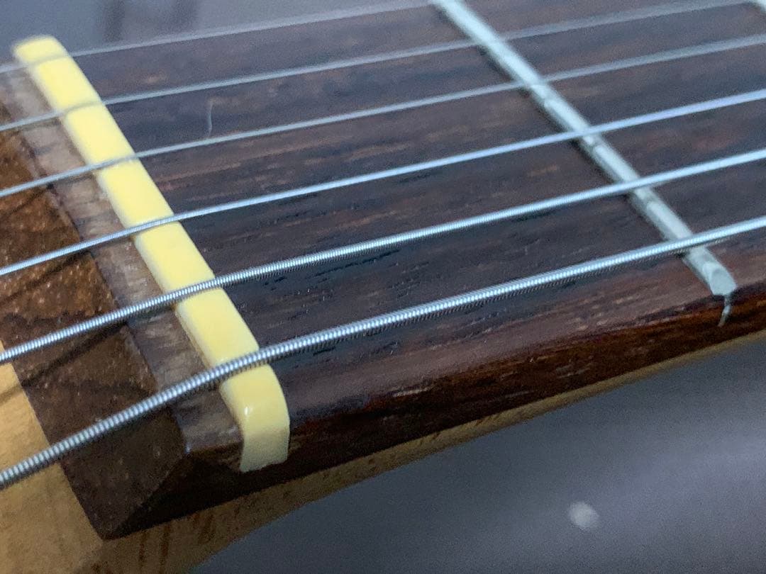 Play Tech プレイテック TL テレキャスター テレキャス 黒