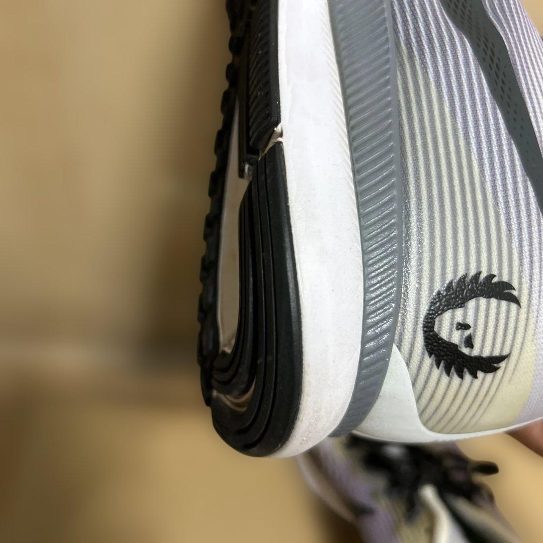 Nike Oregon project ペガサス　サイズ28cm