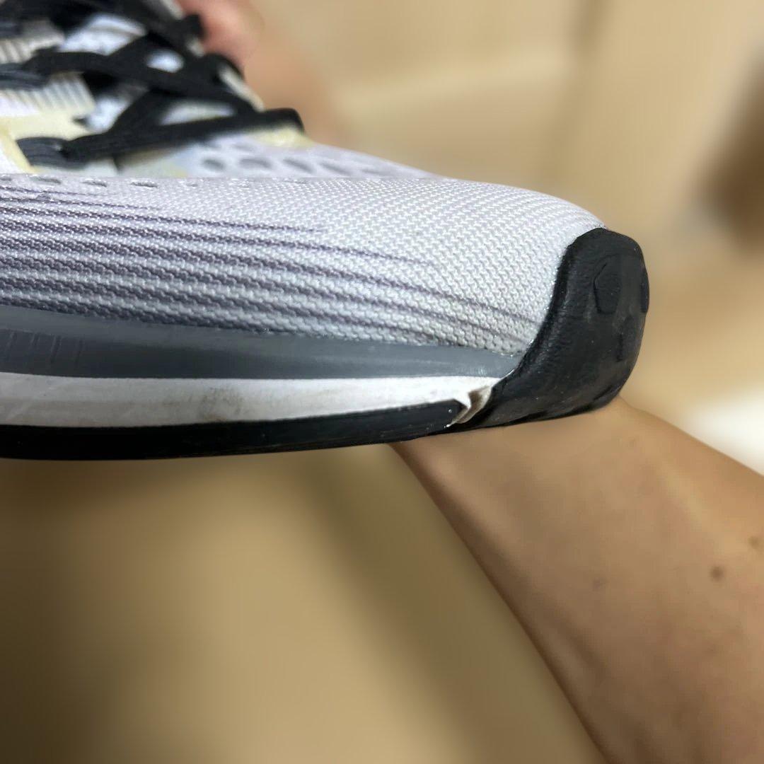 Nike Oregon project ペガサス　サイズ28cm