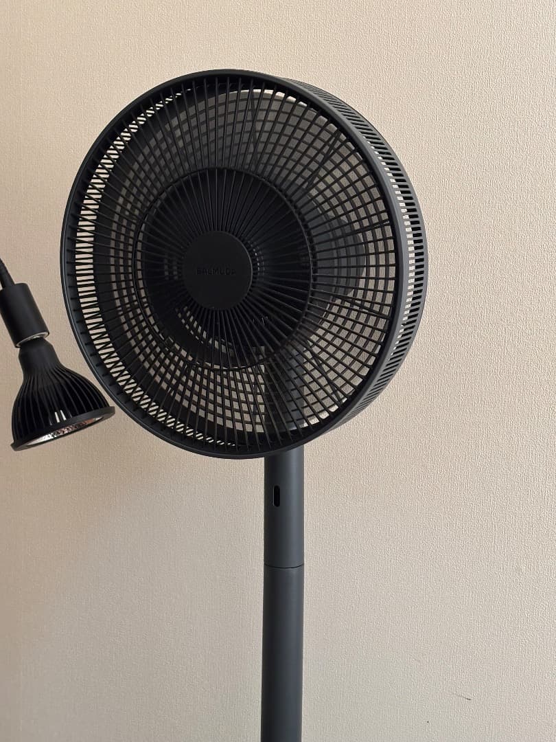 The GreenFan ブラック スタンド式扇風機