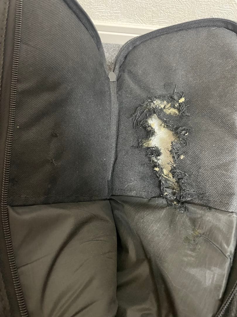 ギター fender Japan Telecaster