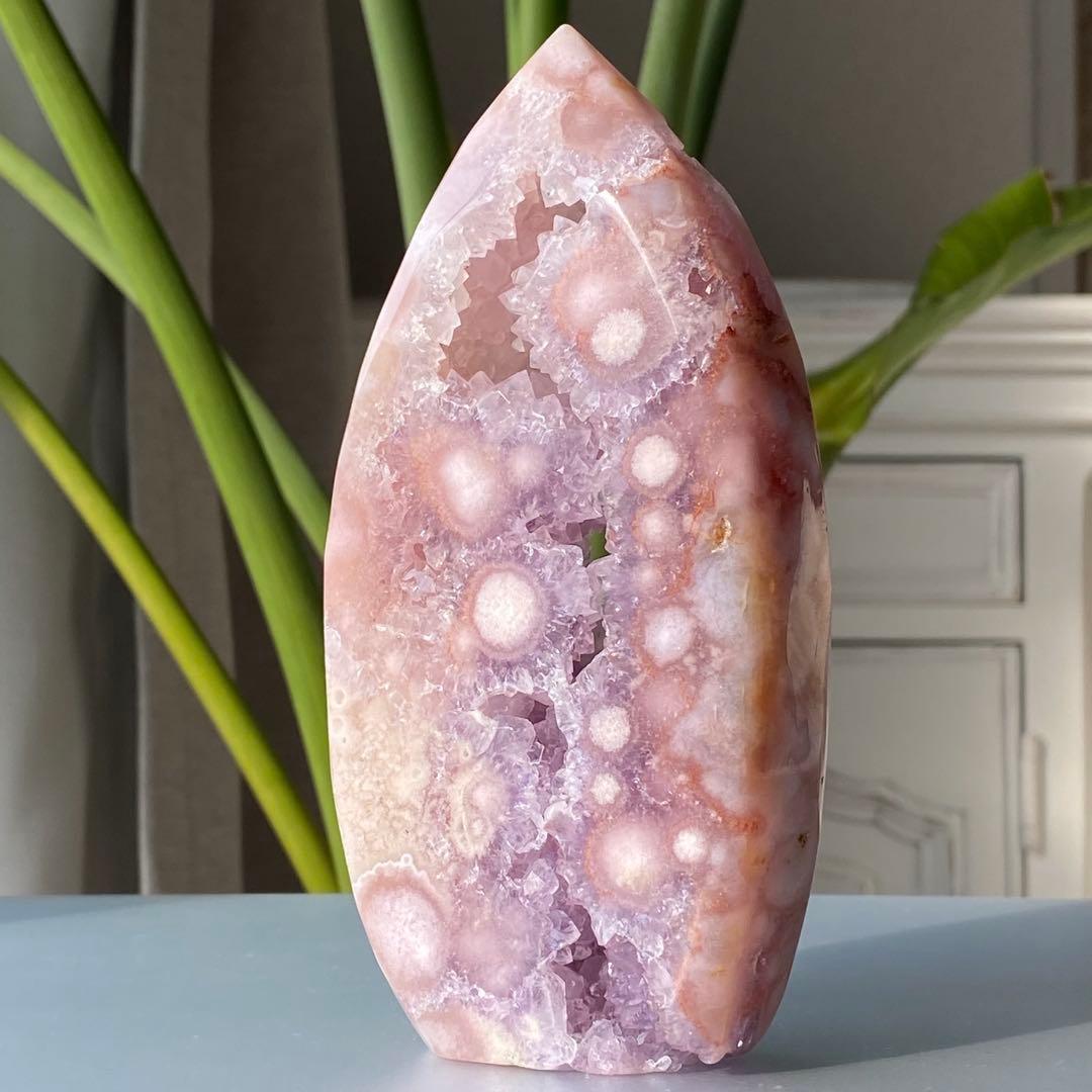 ヤシの実様　お受け取りまでのご確認用ページ