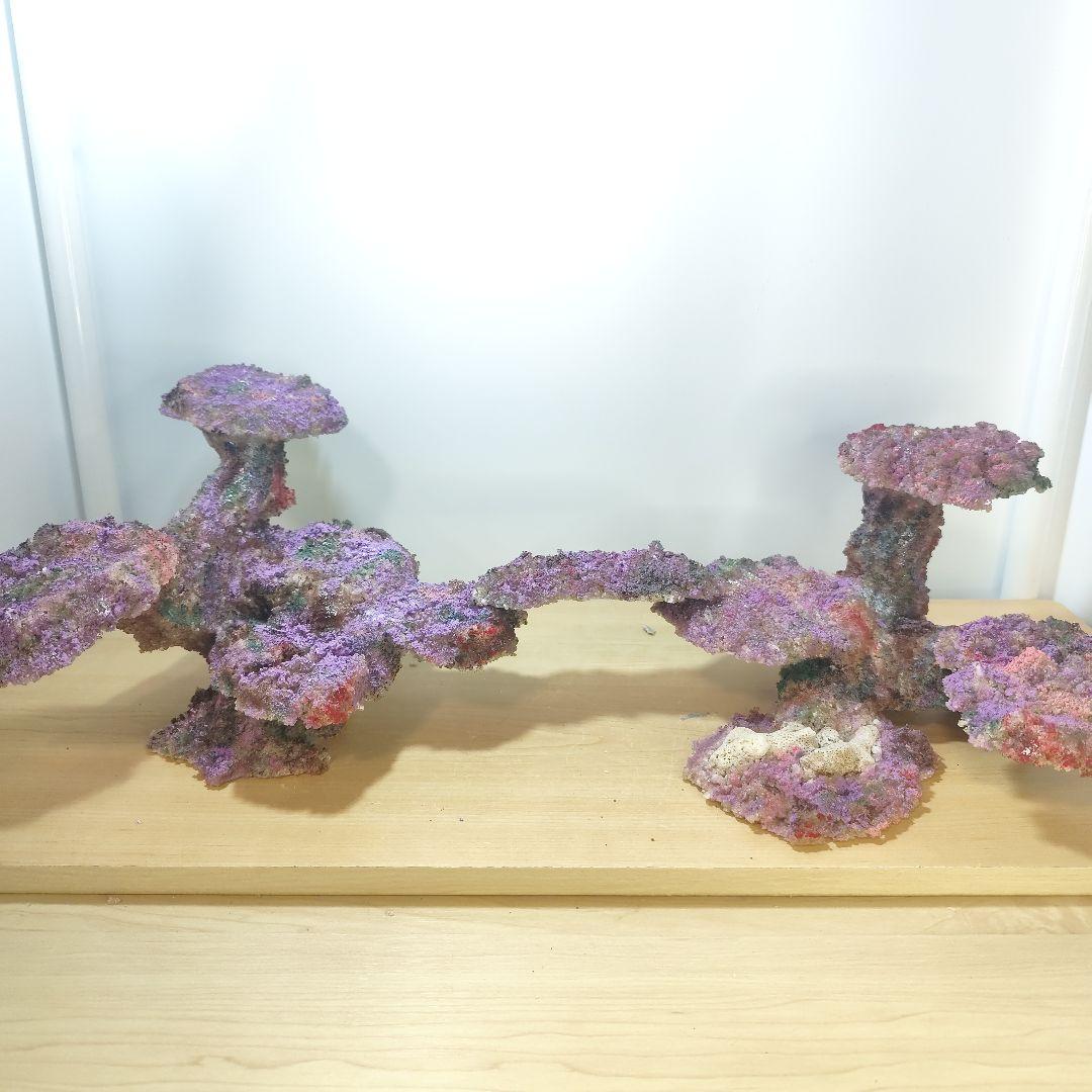 新品アク抜き不要 分離型人工ライブロック 60cm海水水槽用 レプリカ 多孔質4