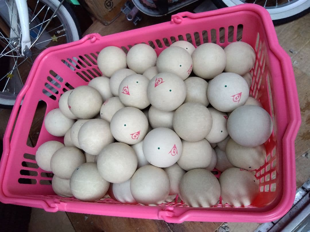 ソフトテニス　ダンロップ公認球