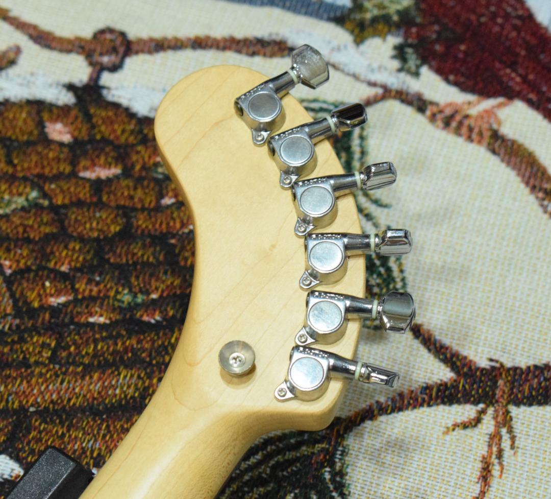 Fernandes ZO-3 スケルトン 動作良好 ケース付