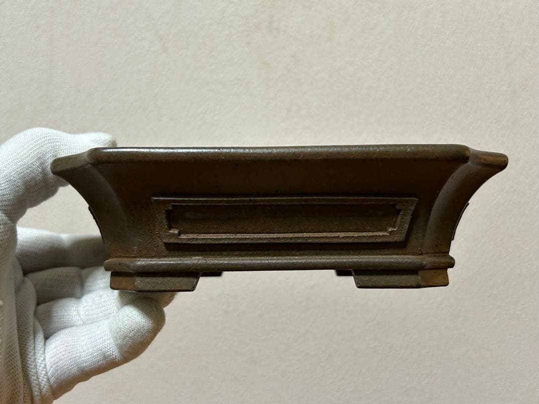 小松泉　秋静庵　小品盆栽　山野草