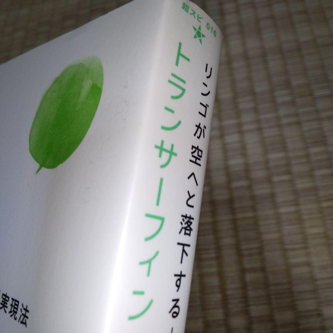 超スピリチュアルな夢実現　トランサーフィン　鏡の超法則　ヴァジム・ゼランド