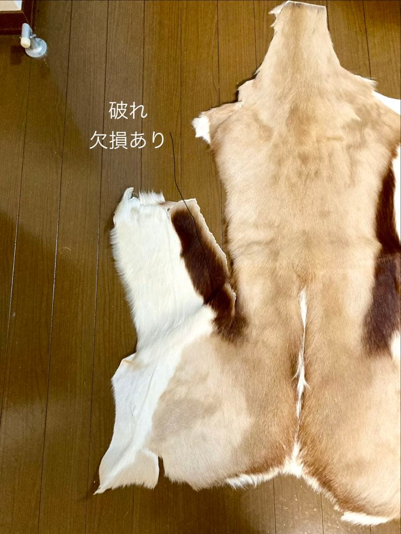 ラグ・カーペット si bubu