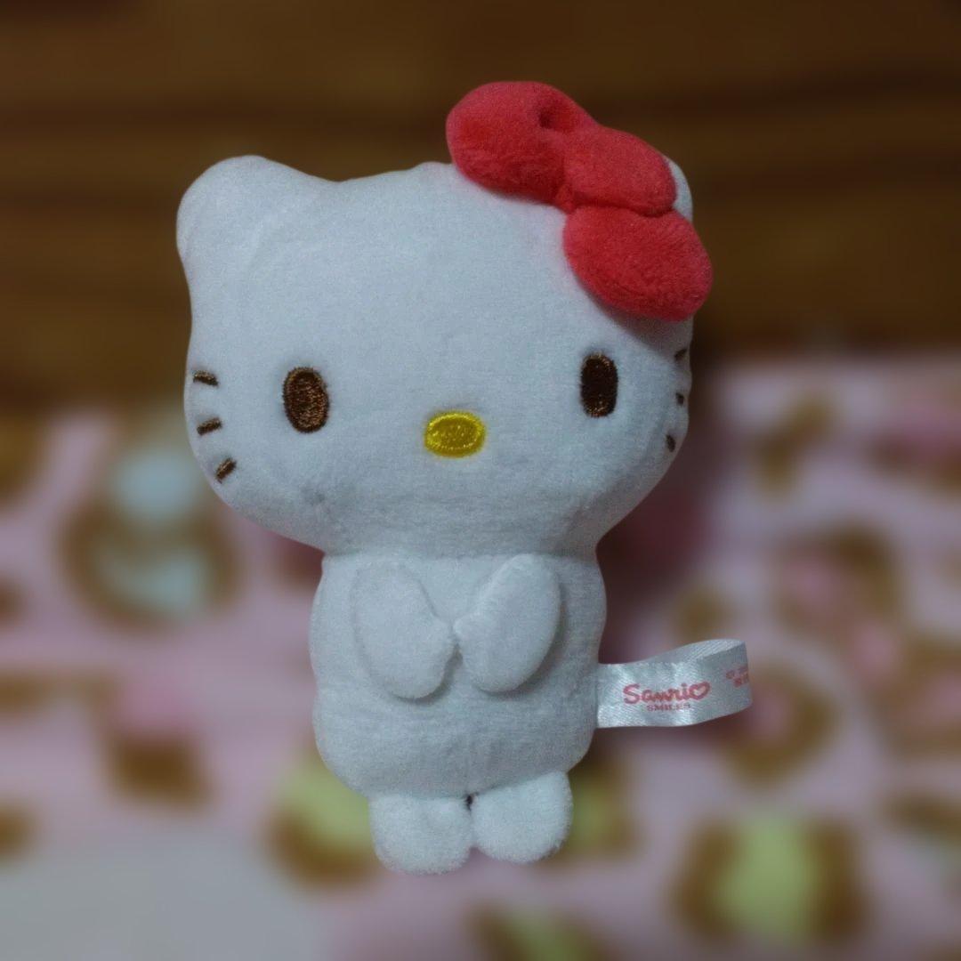 超激レア‼️希少‼️プレミア‼️着せ替えキティ‼️可愛い着ぐるみです