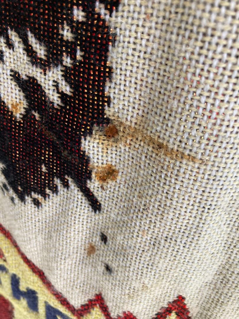 ヒステリックグラマー　マルチカバー